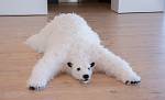 Alaska_007