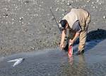 Alaska_012