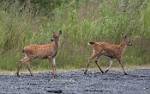 Alaska_024