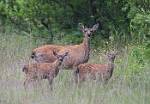 Alaska_025