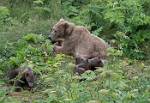 Alaska_034