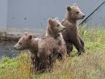 Alaska_035