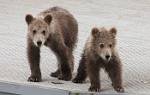 Alaska_036