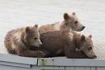 Alaska_037