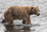 Alaska_038