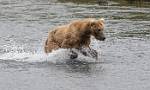 Alaska_039