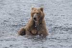 Alaska_041