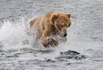 Alaska_042