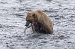 Alaska_043
