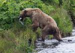 Alaska_044