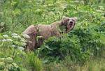 Alaska_045