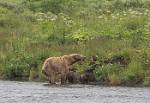 Alaska_046