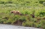 Alaska_047