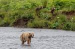 Alaska_048