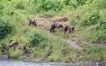 Alaska_049