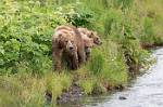 Alaska_051