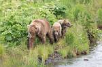 Alaska_052