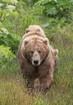 Alaska_053