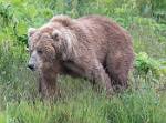 Alaska_054