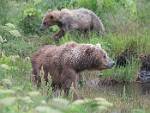 Alaska_055