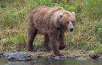 Alaska_056
