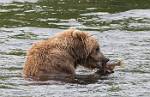 Alaska_057