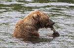 Alaska_058