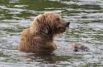 Alaska_059