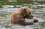 Alaska_060