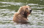 Alaska_061