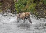 Alaska_062