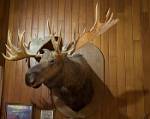 Alaska_074