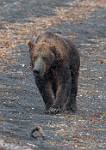 Alaska_080