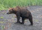 Alaska_081