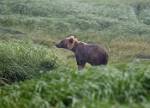 Alaska_082