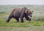 Alaska_083