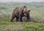 Alaska_084