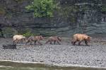 Alaska_087