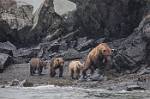 Alaska_091
