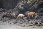 Alaska_092