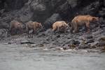 Alaska_093