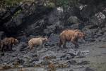 Alaska_094