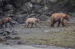 Alaska_095