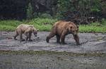 Alaska_096