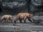 Alaska_097