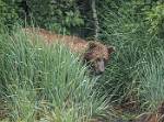 Alaska_101