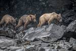 Alaska_103