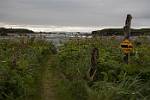 Alaska_109