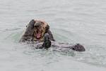 Alaska_113