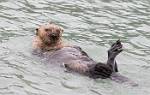 Alaska_114